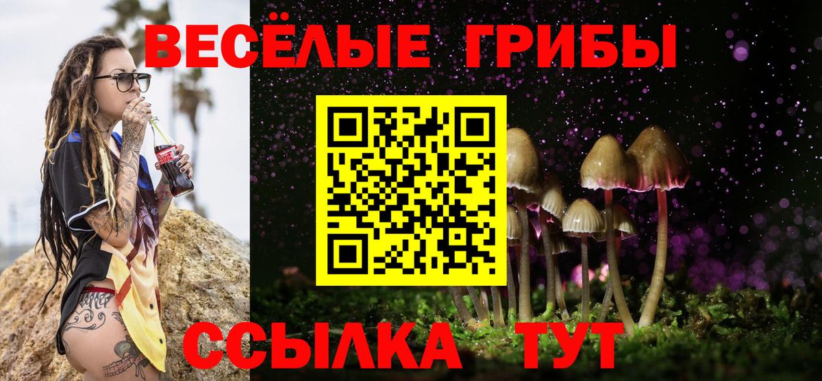 Энгельс  Галлюциногенные грибы Cubensis  Вход с VPN 