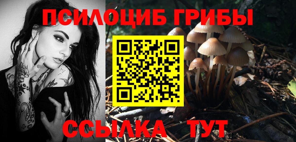 Галлюциногенные грибы Cubensis Энгельс
